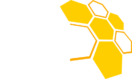 Bee Experience